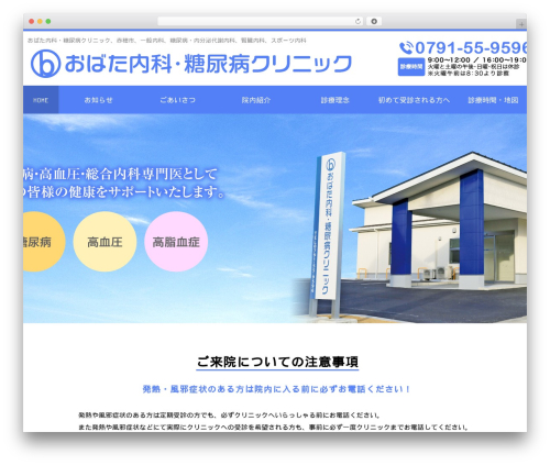 WordPress theme お医者さんテーマ（ホライズン） - obata-dm.com