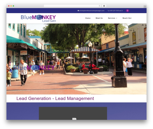 WordPress theme Chimp - bluemonkeyleadgen.com WordPress theme Chimp - bluemonkeyleadgen.com