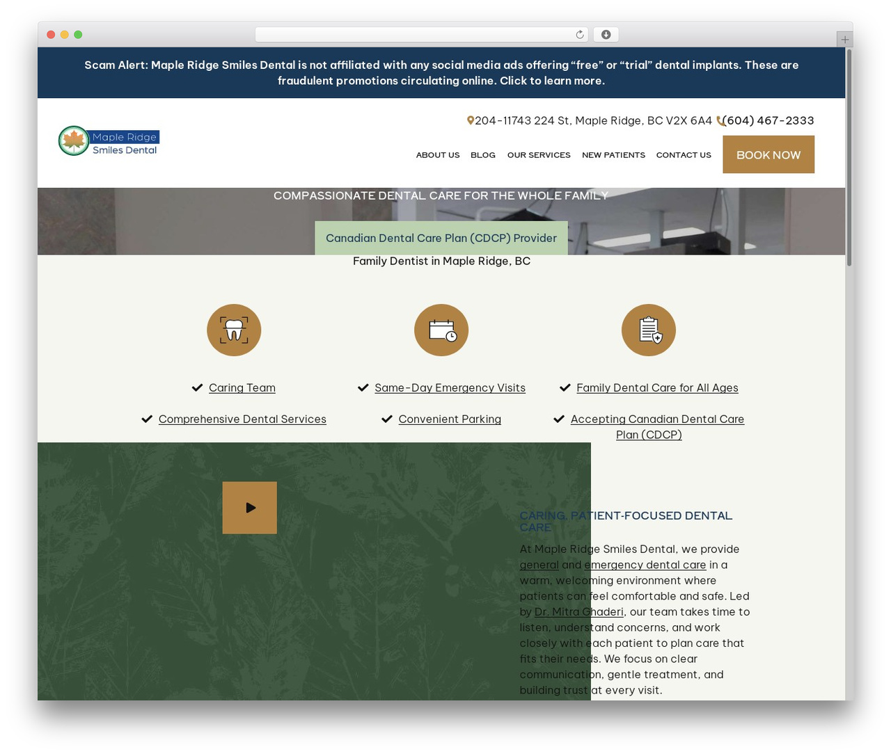 WordPress theme FGFramework B Child - mapleridgesmiles.com