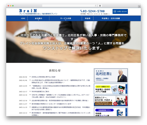 Brain WordPress theme design - brainsr.com