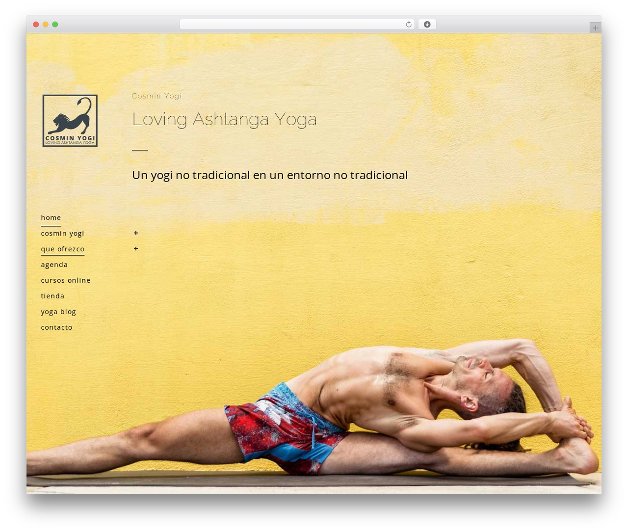Bridge WordPress theme - cosminyogi.com
