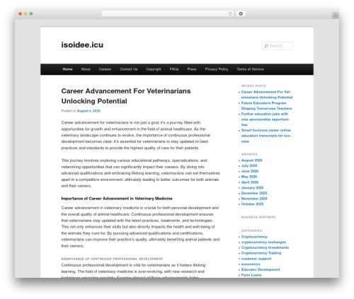 dmc best WordPress theme - isoidee.icu