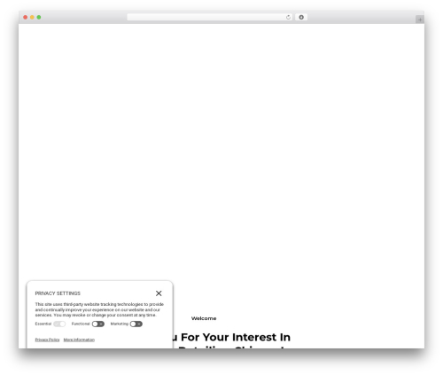Dynamic Detailing WordPress theme - dynamicdetailingchicago.com