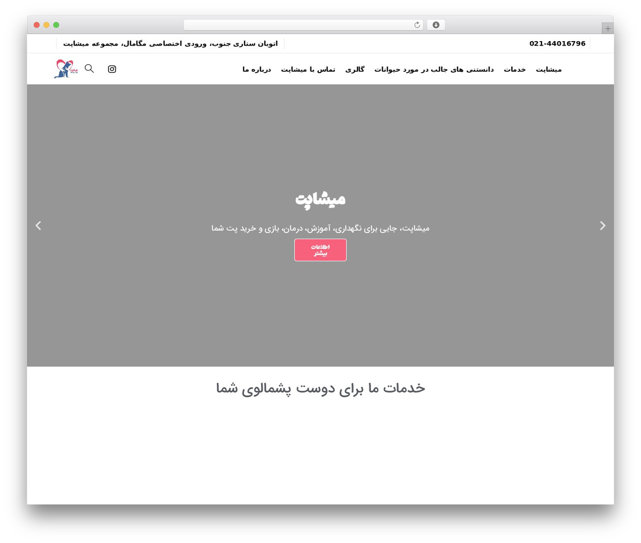 Essentials WordPress theme - misha.pet Essentials WordPress theme - misha.pet