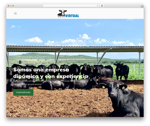 iGuru WordPress theme - bovinosvirtual.com
