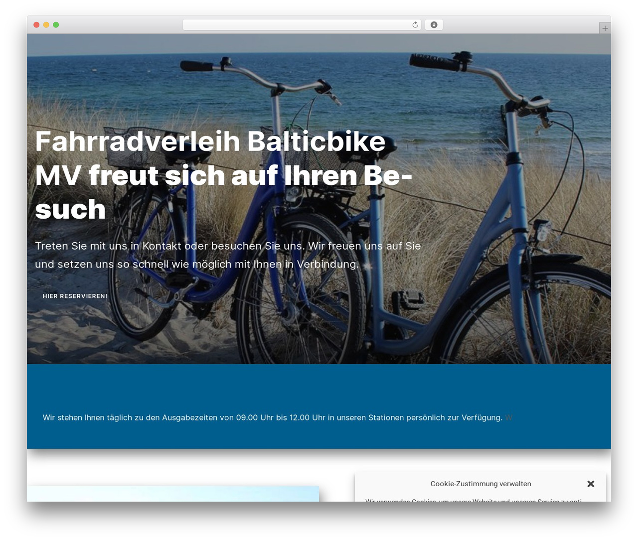 Theme WordPress Constructor - balticbike.info Theme WordPress Constructor - balticbike.info