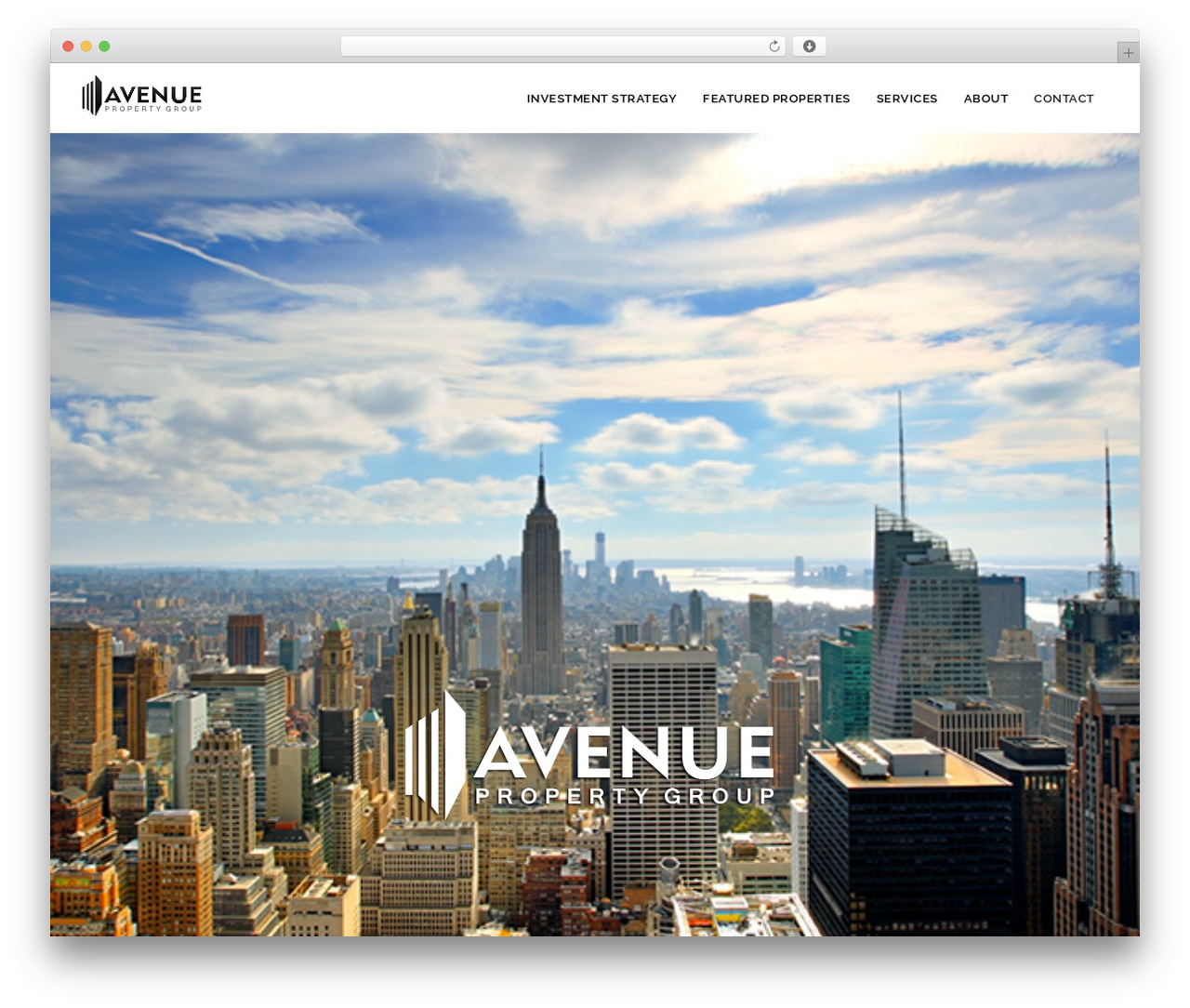 Vixa WordPress theme - avepg.com