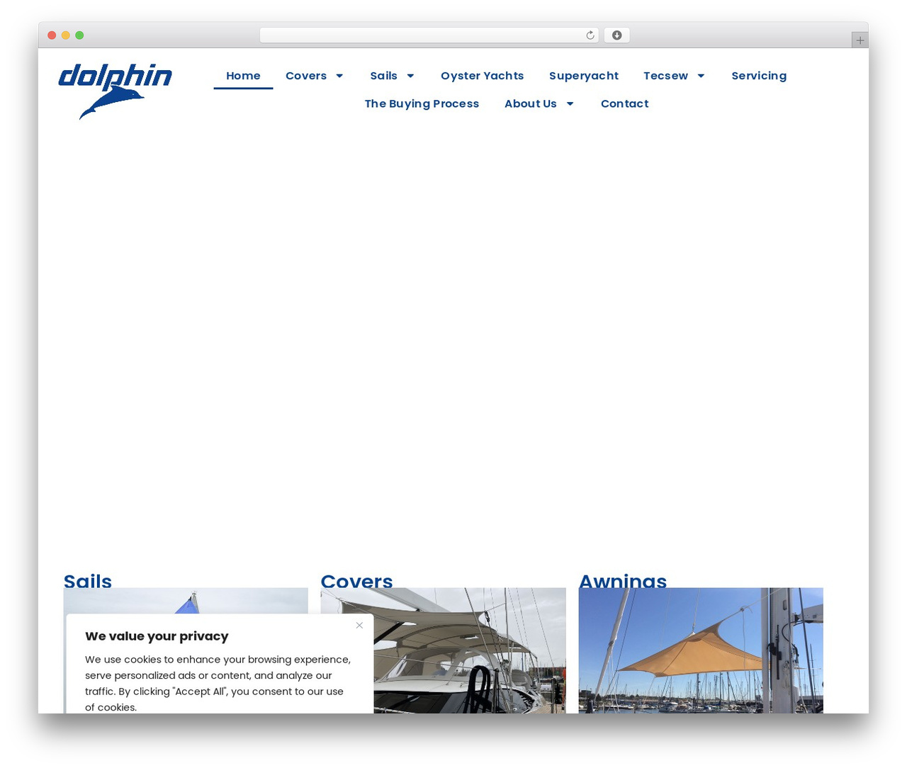 WordPress theme Hello Elementor - dolphinsails.com