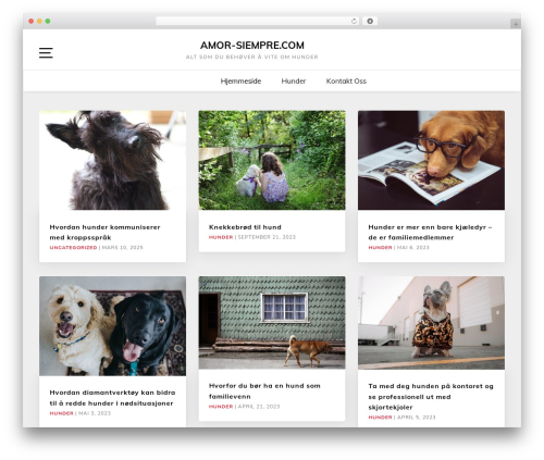 WordPress theme Marinate - amor-siempre.com
