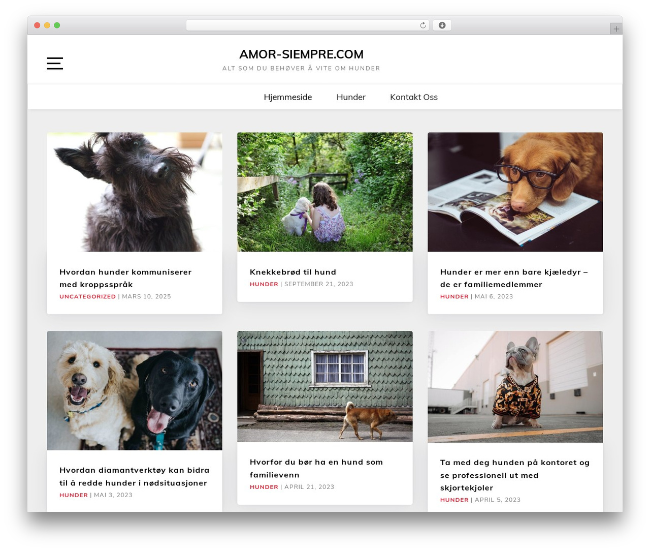 WordPress theme Marinate - amor-siempre.com