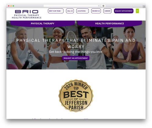 WordPress theme Physio-qt - baudrytherapy.com