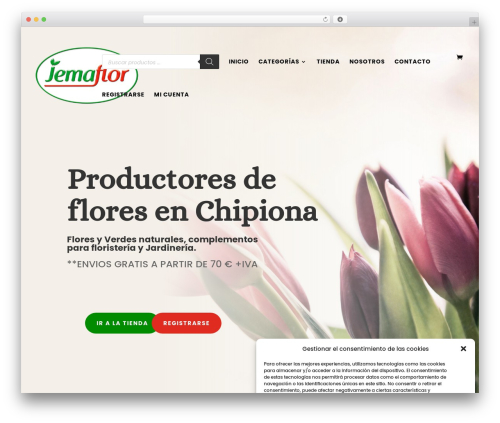 Dc divi accessibility helper WordPress plugin - jemaflor.com