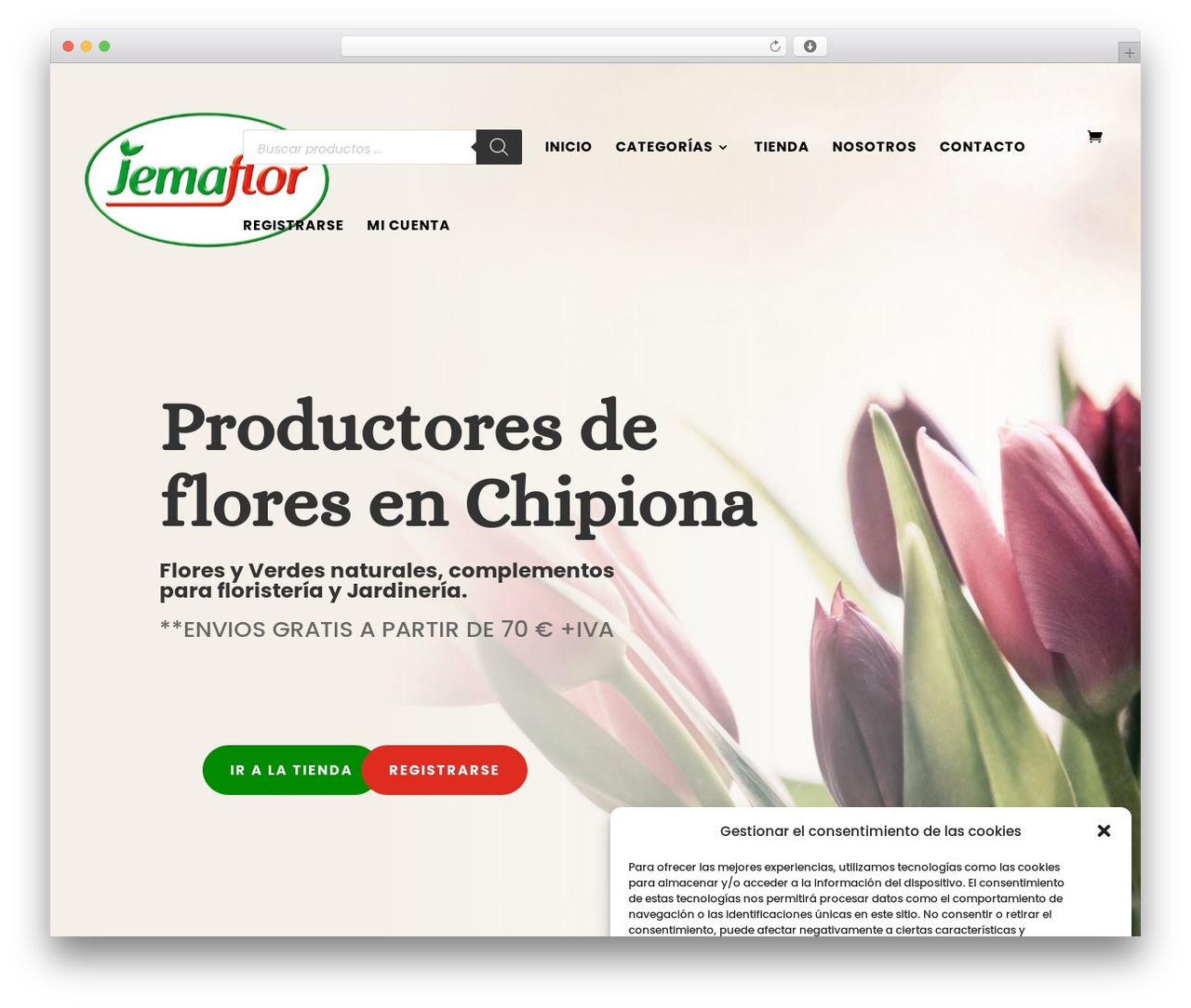 Divi WordPress theme - jemaflor.com Divi WordPress theme - jemaflor.com