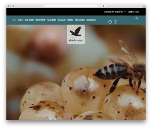 Hello Elementor theme WordPress - hoecklistein.ch