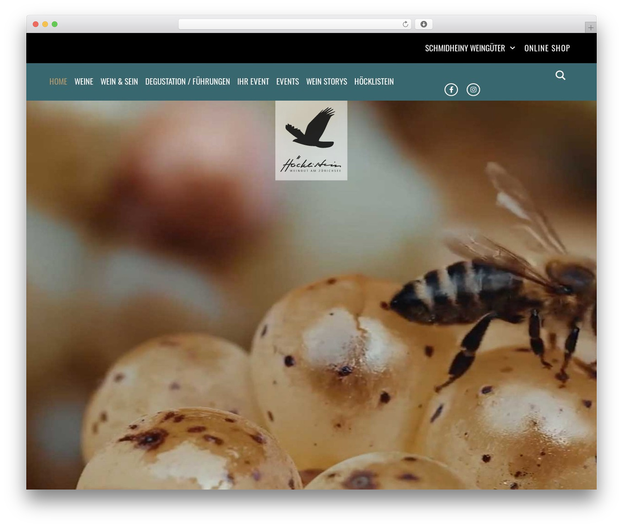 Hello Elementor theme WordPress - hoecklistein.ch Hello Elementor theme WordPress - hoecklistein.ch