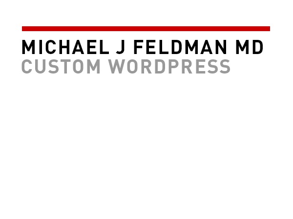 MJF_Custom theme WordPress by Brian anderson