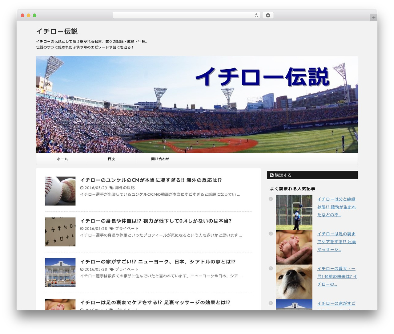 STINGER7 best WordPress theme - ichiro-legend.com
