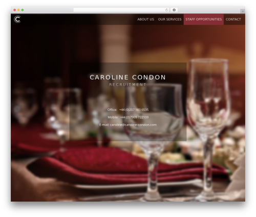 WordPress website theme Liquid Engine - caroline-condon.com