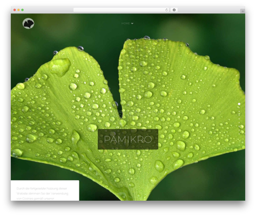 Ocean full screen WordPress plugin - pamikro.de
