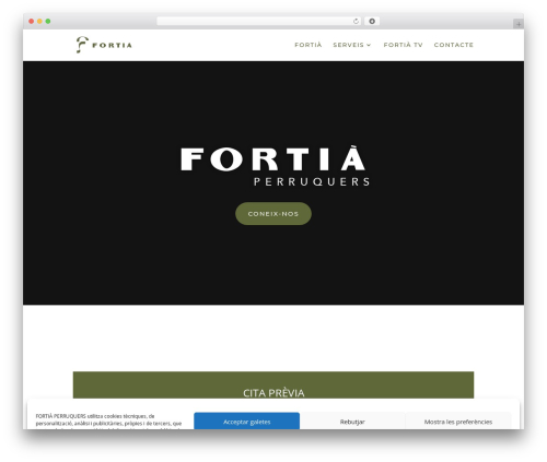 Base Pro Child Theme WordPress theme - fortiaperruquers.cat