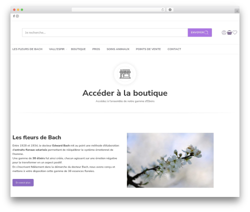 Elessi Theme premium WordPress theme - elixirs-vallespir.com