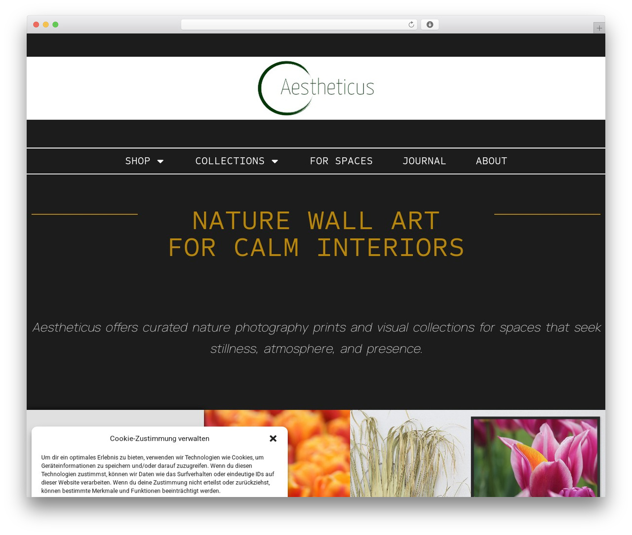 Hello Elementor wallpapers WordPress theme - aestheticus.net Hello Elementor wallpapers WordPress theme - aestheticus.net