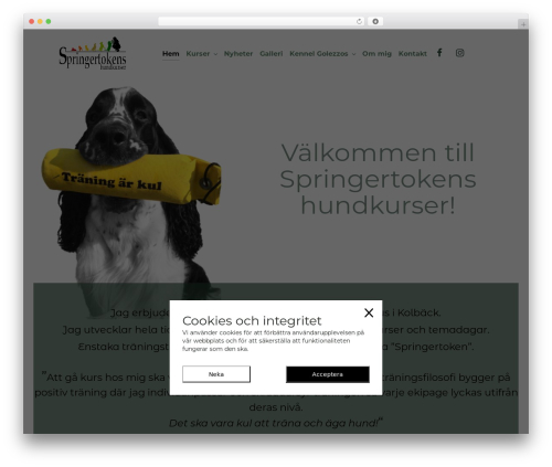 LEVELUP WordPress theme - springertoken.se