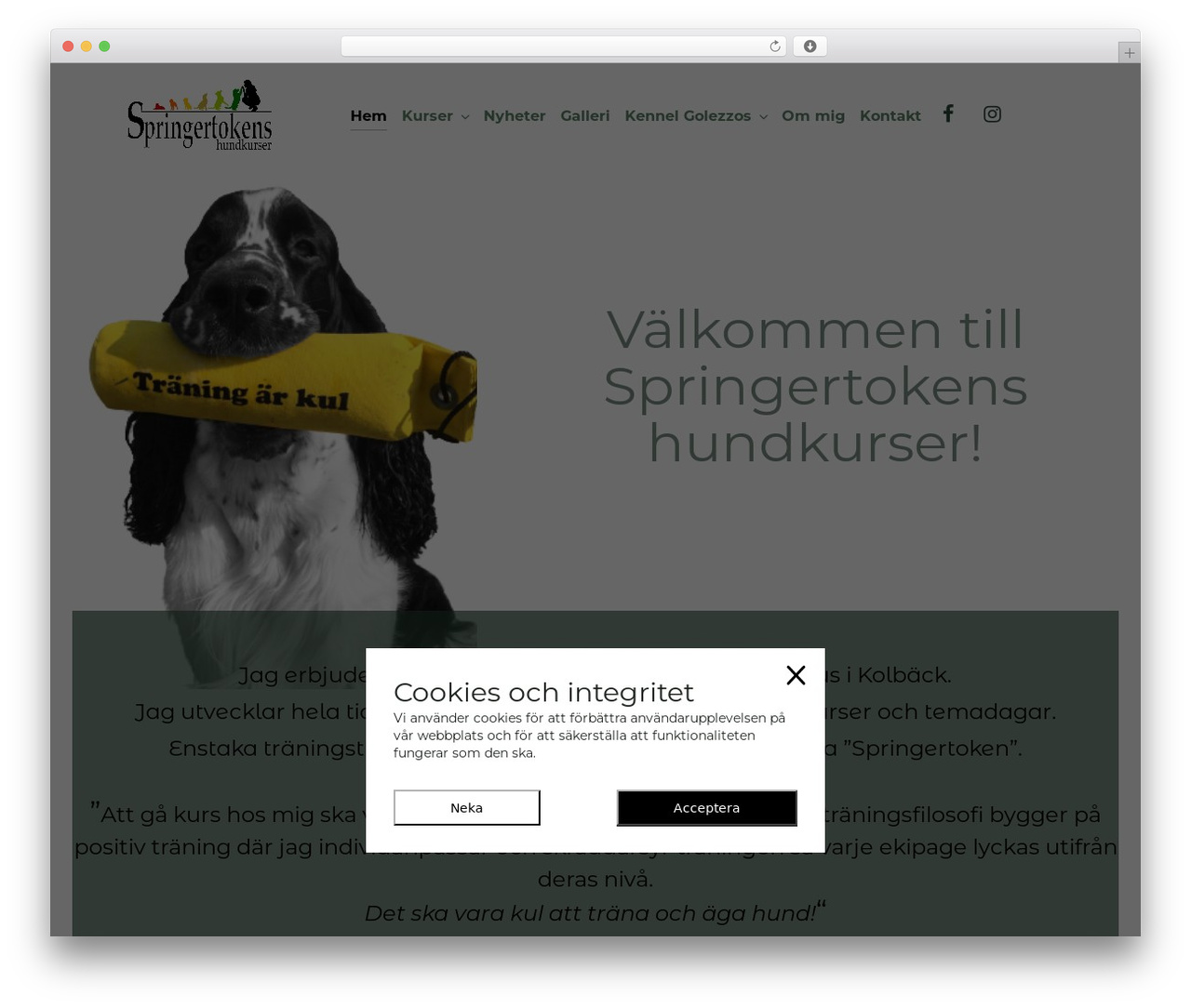 LEVELUP WordPress theme - springertoken.se LEVELUP WordPress theme - springertoken.se