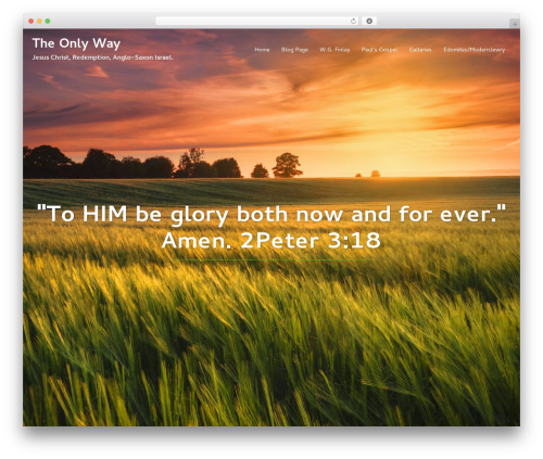 Sydney theme WordPress - the-only-way.net