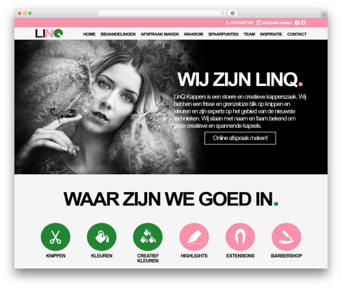 Theme WordPress webproof02 - www.linqkappers.nl