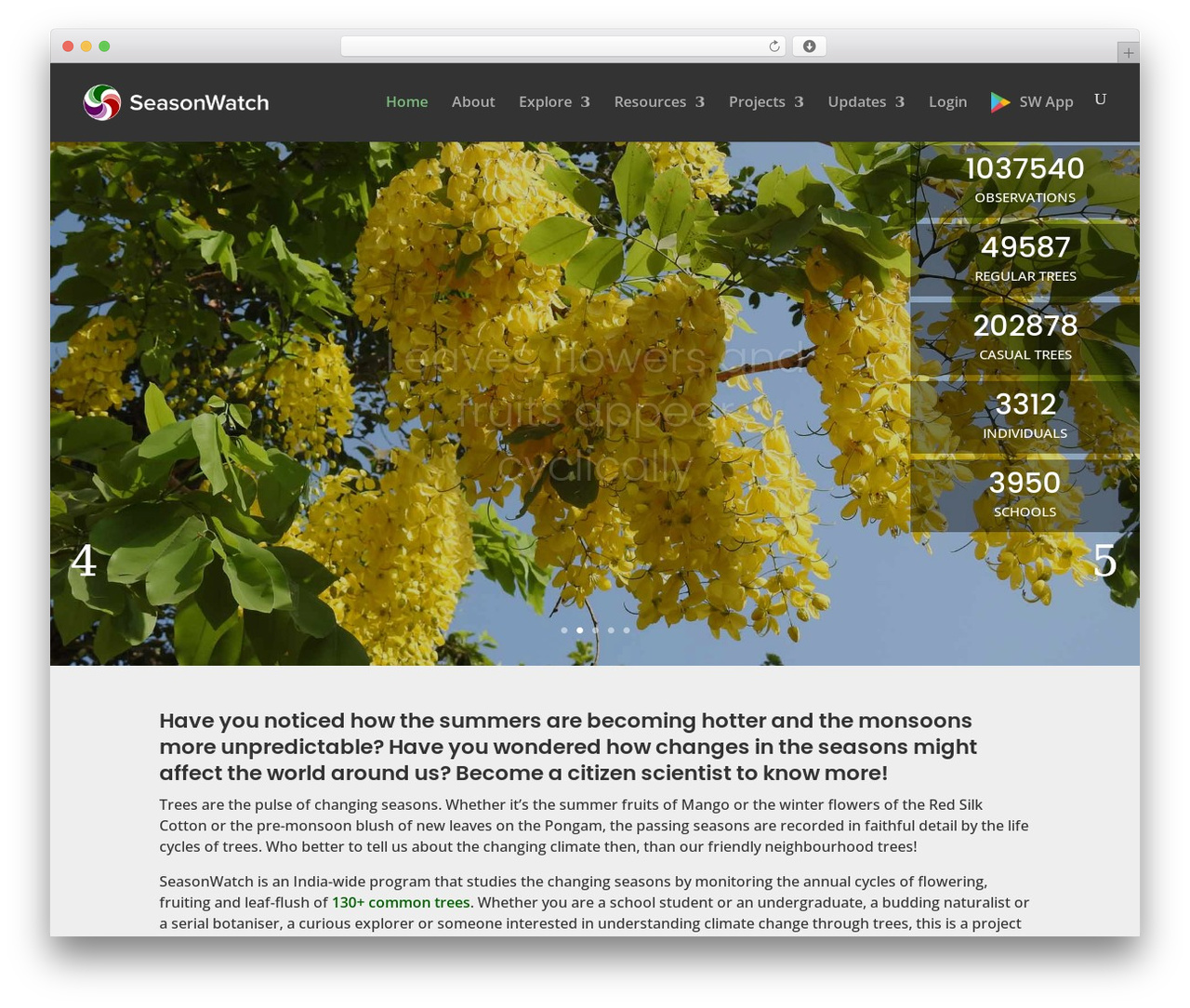WordPress theme Divi - seasonwatch.in