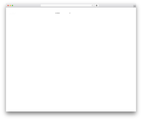 Erplayer WordPress plugin - erplayer.pro.radio