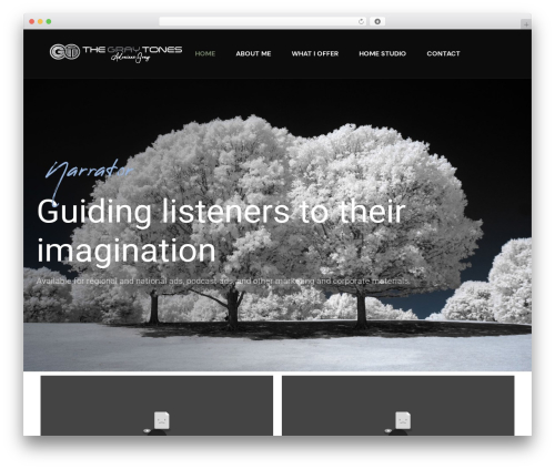 Ova audio WordPress plugin - thegraytones.com