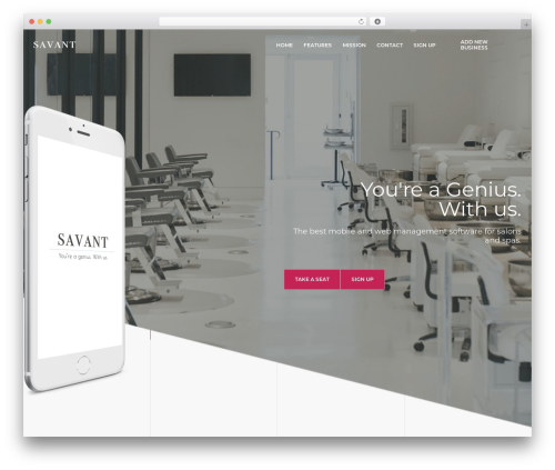 Pt siber shortcodes WordPress plugin - savantsaloncrm.com