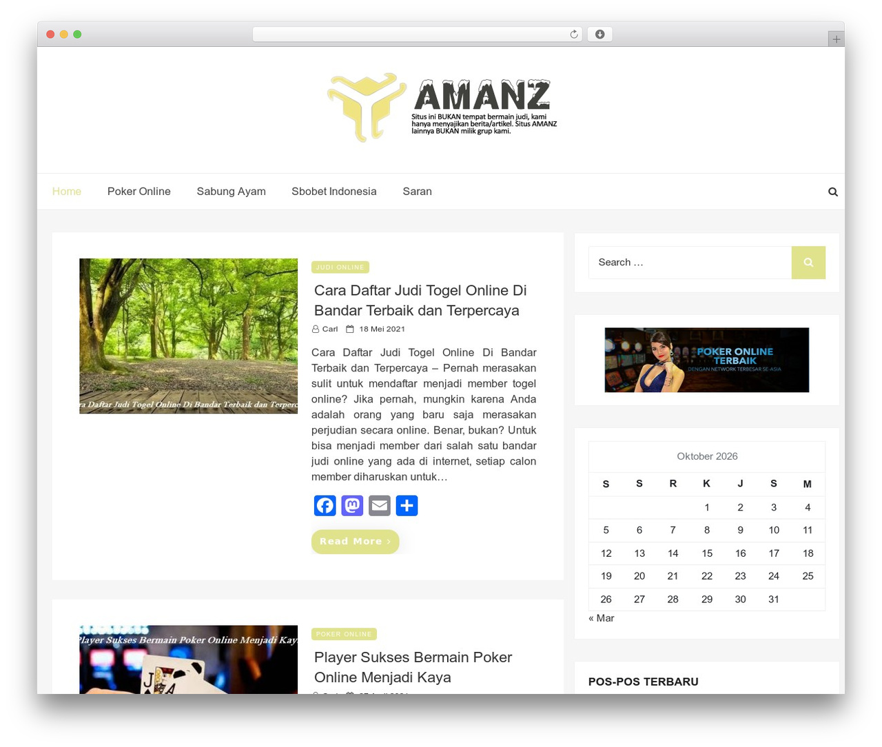 WordPress theme Web Log - amanz.net