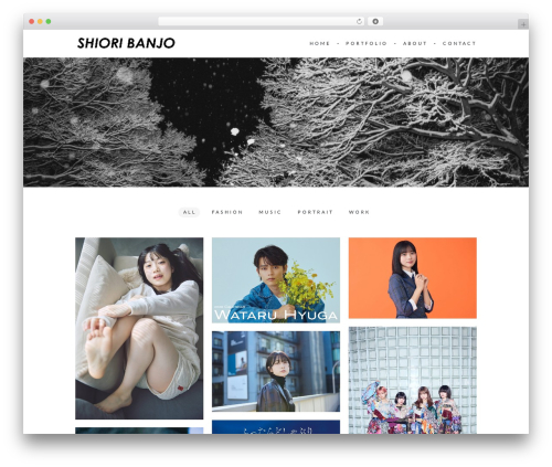 ThemeRain Core (themerain-core) free WordPress plugin - shioribanjo.com