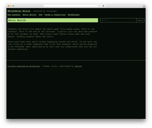 Micro WordPress theme - enonymousninja.com Micro WordPress theme - enonymousninja.com