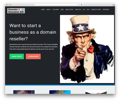 Bold Hook WordPress website theme - domainsam.com