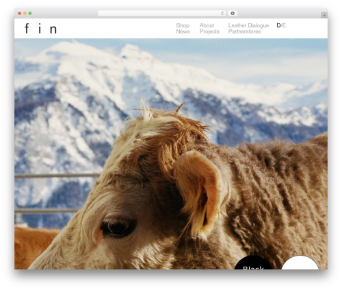 Fin WordPress theme - fin-projects.ch