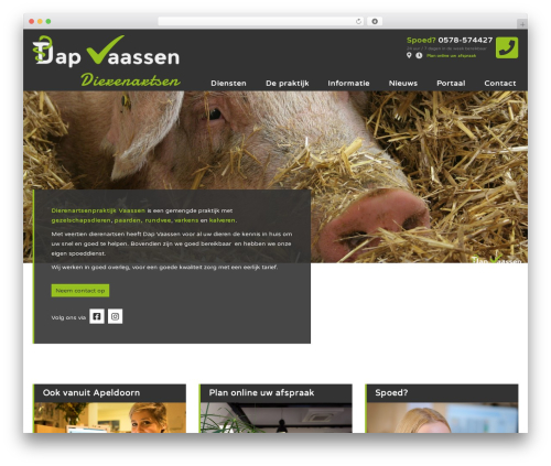 Sieronline WP Basisthema- Child best WordPress theme - dapvaassen.nl