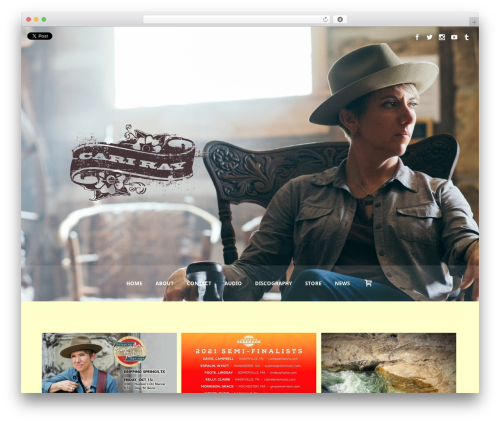Speaker theme WordPress - cariray.com
