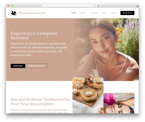 Cleanly WordPress plugin - obasglobal.com