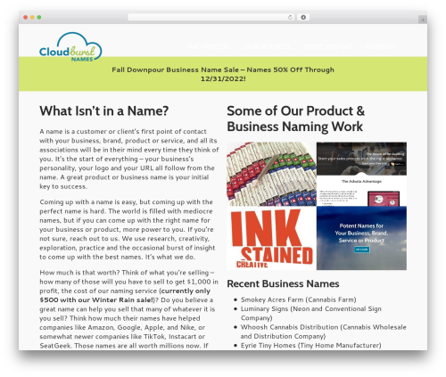 Boldial WordPress theme - cloudburstnames.com