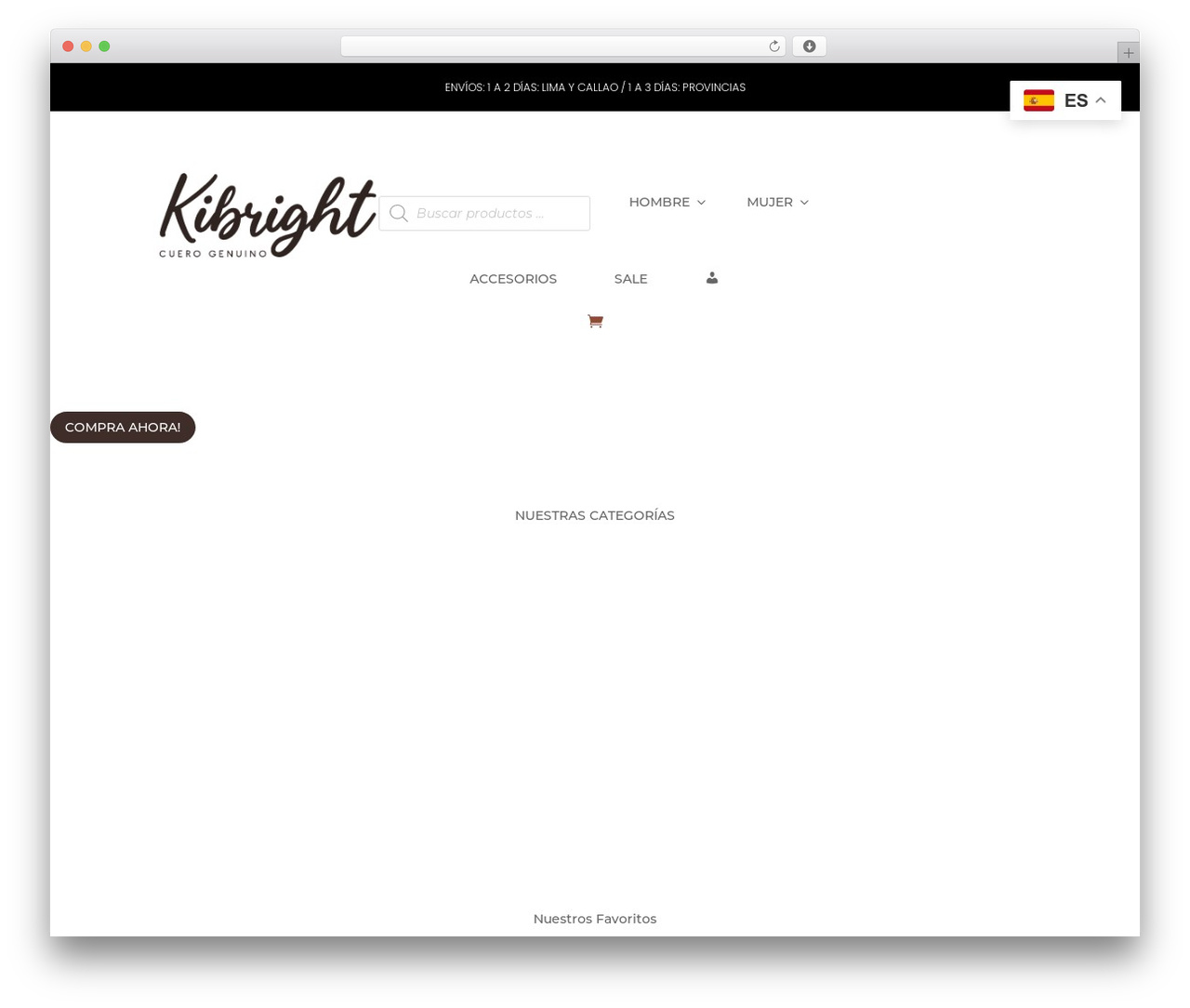 Divi WordPress theme - kibright.com