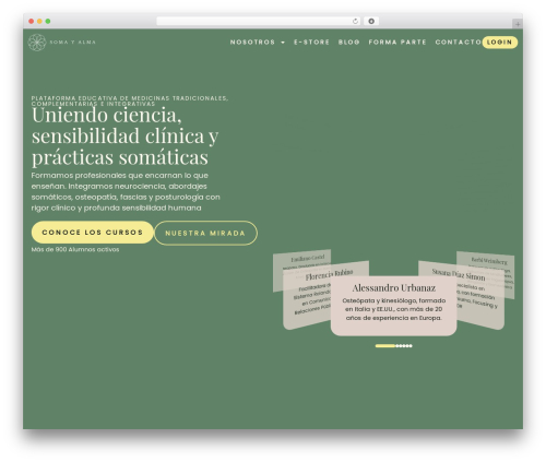 Woocommerce aelia currencyswitcher WordPress plugin - somayalma.com