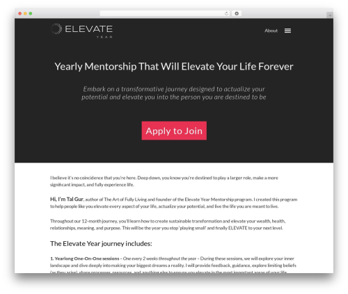 On Topic WordPress theme - elevateyear.com