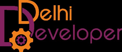 WordPress theme Delhi Developer Customized Theme
