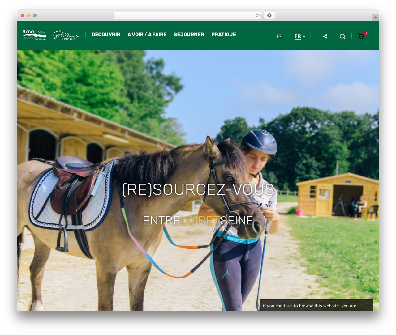 Offre Simplicity WordPress theme design - entreloiretseine.com