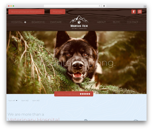 Hello Elementor top WordPress theme - themountainviewvet.com