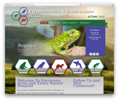Sapphire Custom Theme theme WordPress - evergreenae.com